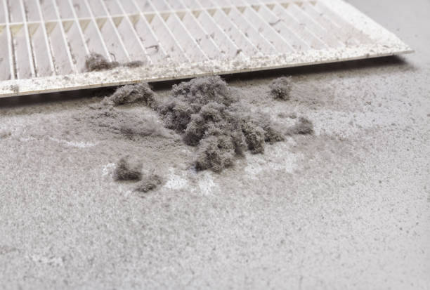 Best Air Duct Cleaning Near Me in HI
