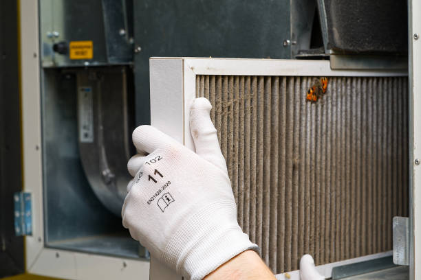Best Local Air Duct Cleaning Services  in Heeia, HI