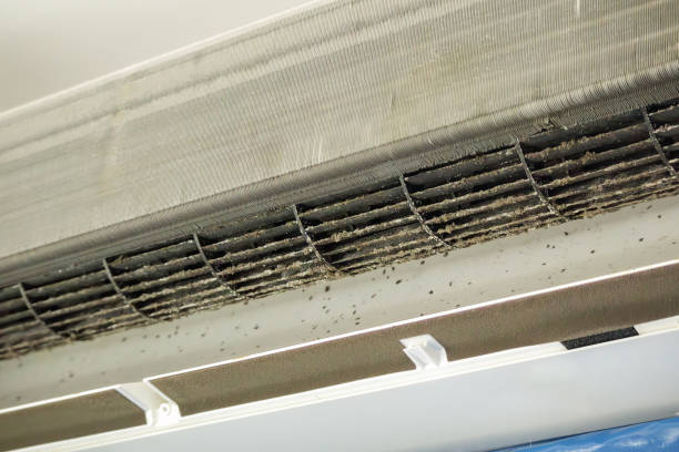 Ductwork Cleaning Services in HI