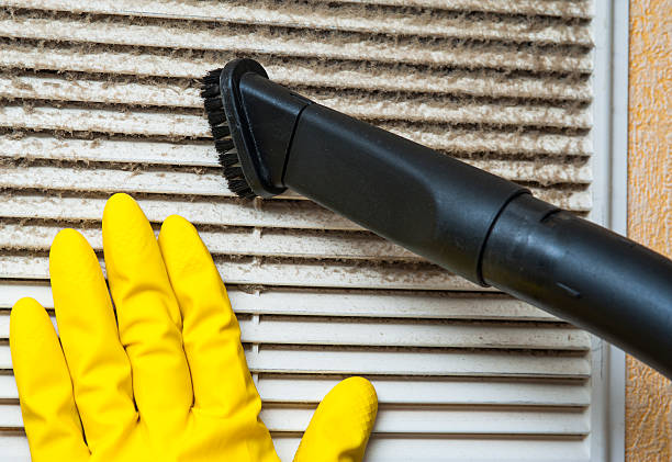 Best Affordable Air Duct Cleaning  in Heeia, HI