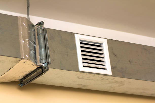 Best Air Duct Mold Removal  in Heeia, HI